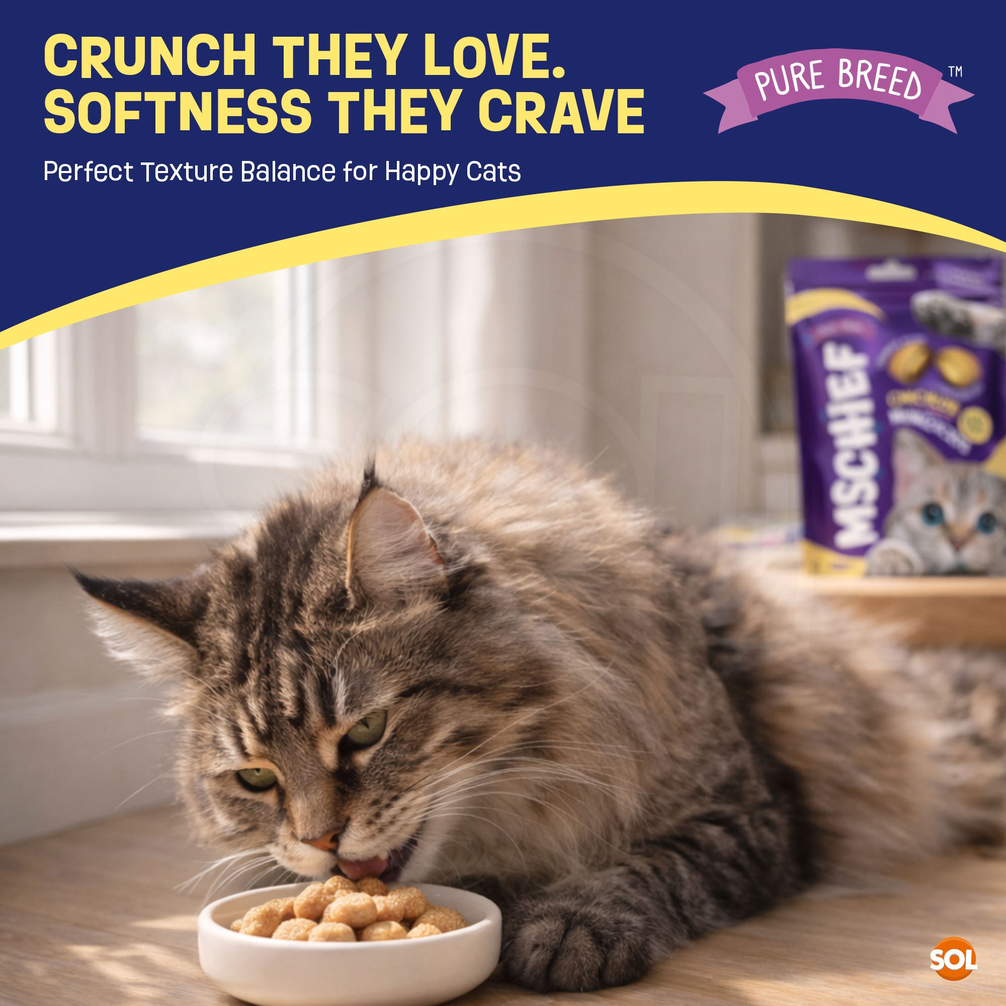 Cat Treats & Snack with 6 Pack, 6pk, Chicken Flavour Pillow Snacks Crunchy Outside - product gallery image 5