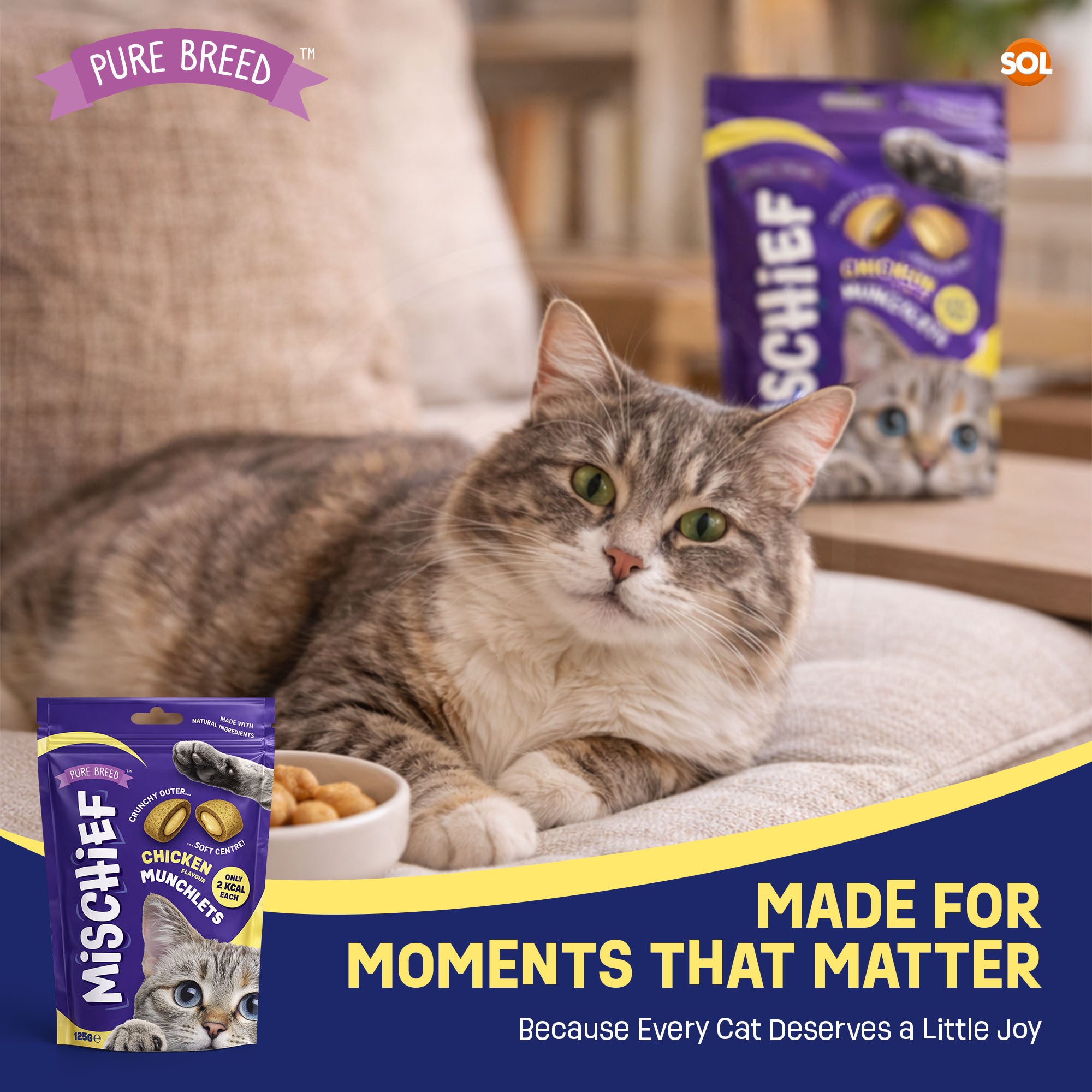 Cat Treats & Snack with 6 Pack, 6pk, Chicken Flavour Pillow Snacks Crunchy Outside - product gallery image 6