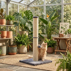 Cat Tree with 40cm, 1, Scratching Post Scratch Post Kitten Scratcher - product gallery image 10