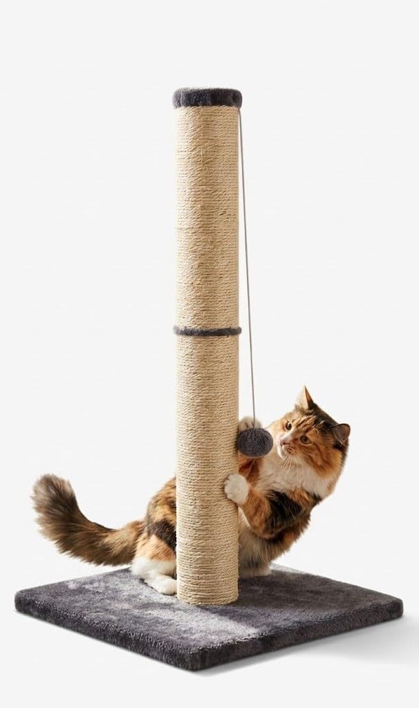 Cat Tree with 40cm, 1, Scratching Post Scratch Post Kitten Scratcher - product gallery image 16