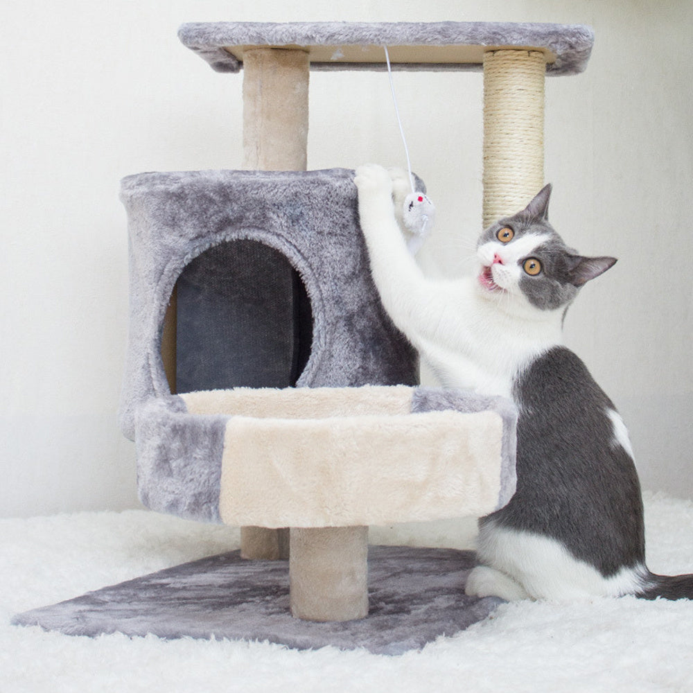 Cat Tree with 50*35*52cm, Climbing Tower Ultimate Indoor Playground Your
