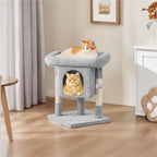 Cat Tree with Space-Saving, 59cm, Costoffs Height 2-Level Tower Furniture - product gallery image 4