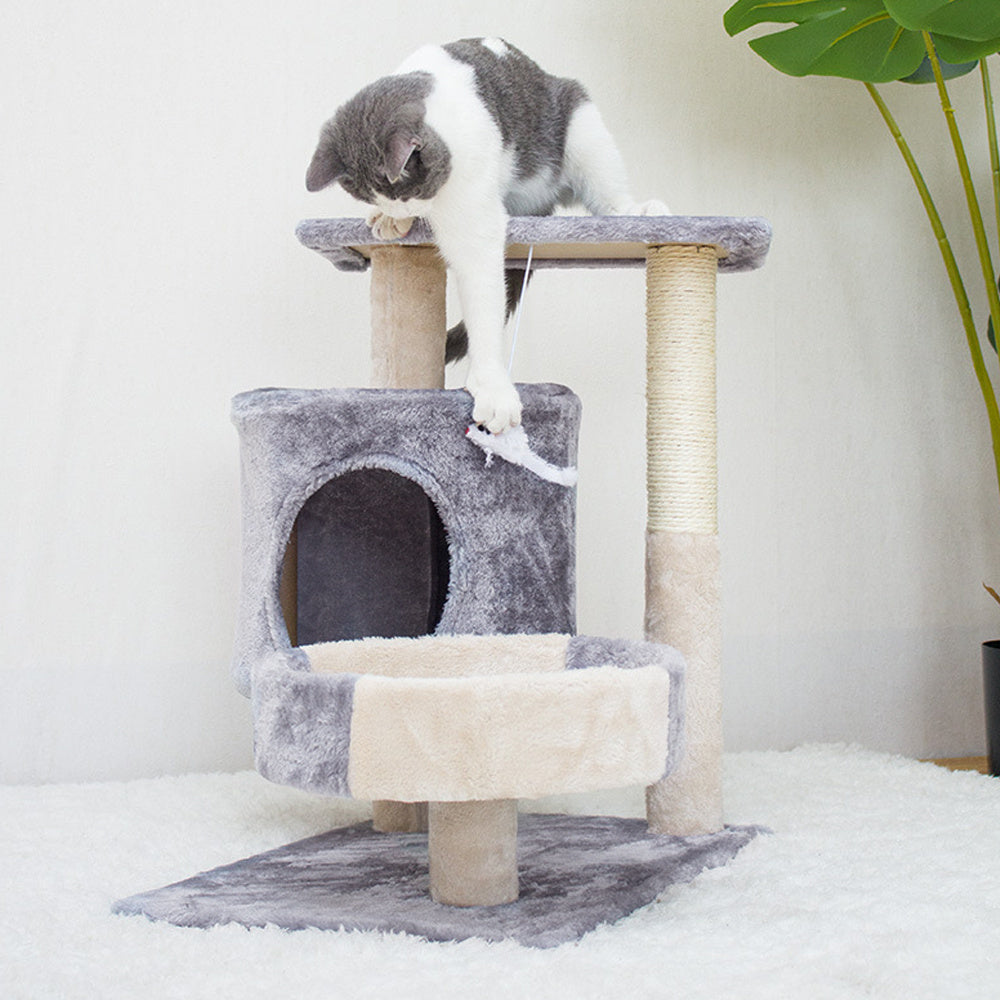 Cat Tree with Space-Saving, Easy Assembly, 52cm, 49.5*34.5*52CM