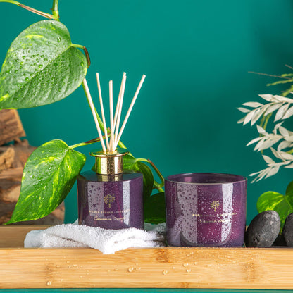 Nicola Spring Coconut & Lime Scented Candle - 130g - Natural Soy Wax 21 Hour Burning Time Small Candles Relaxing Fragrance Gift Set Aromatherapy Bath Candle