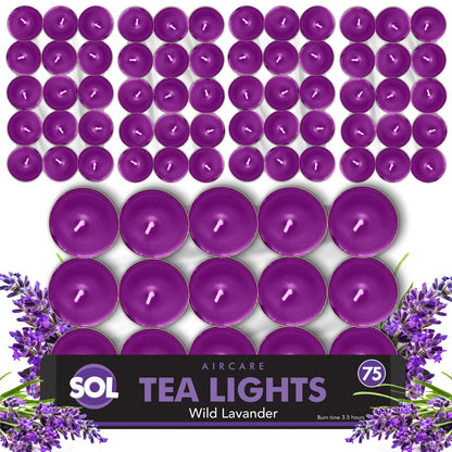 75 Pack Scented Tea Light Candles | Assorted Tealights with 5 Fragrances (Vanilla, Fresh Berries, Peach, Mountain Spring, Lavender) | 4 Hour Burn | Decorative Home & Gift Candle Set