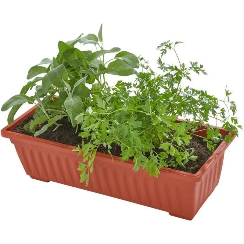 4 Tier Vertical Strawberry & Herb Planter – Raised Garden Beds With 4 Removable Raised Planter Trays, Foldable Structure, Outdoor Indoor Planter Stand For Flowers, Vegetables and Herbs