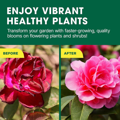 Doff Azalea Camellia & Rhododendron Feed Concentrate 1L