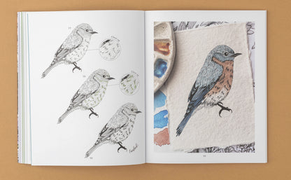 The Kew Book of Drawing Flora And Fauna ¦ 20 Stunning Step-By-Step Tutorials - Draw Plants And Animals with Joy-Louise Robinson