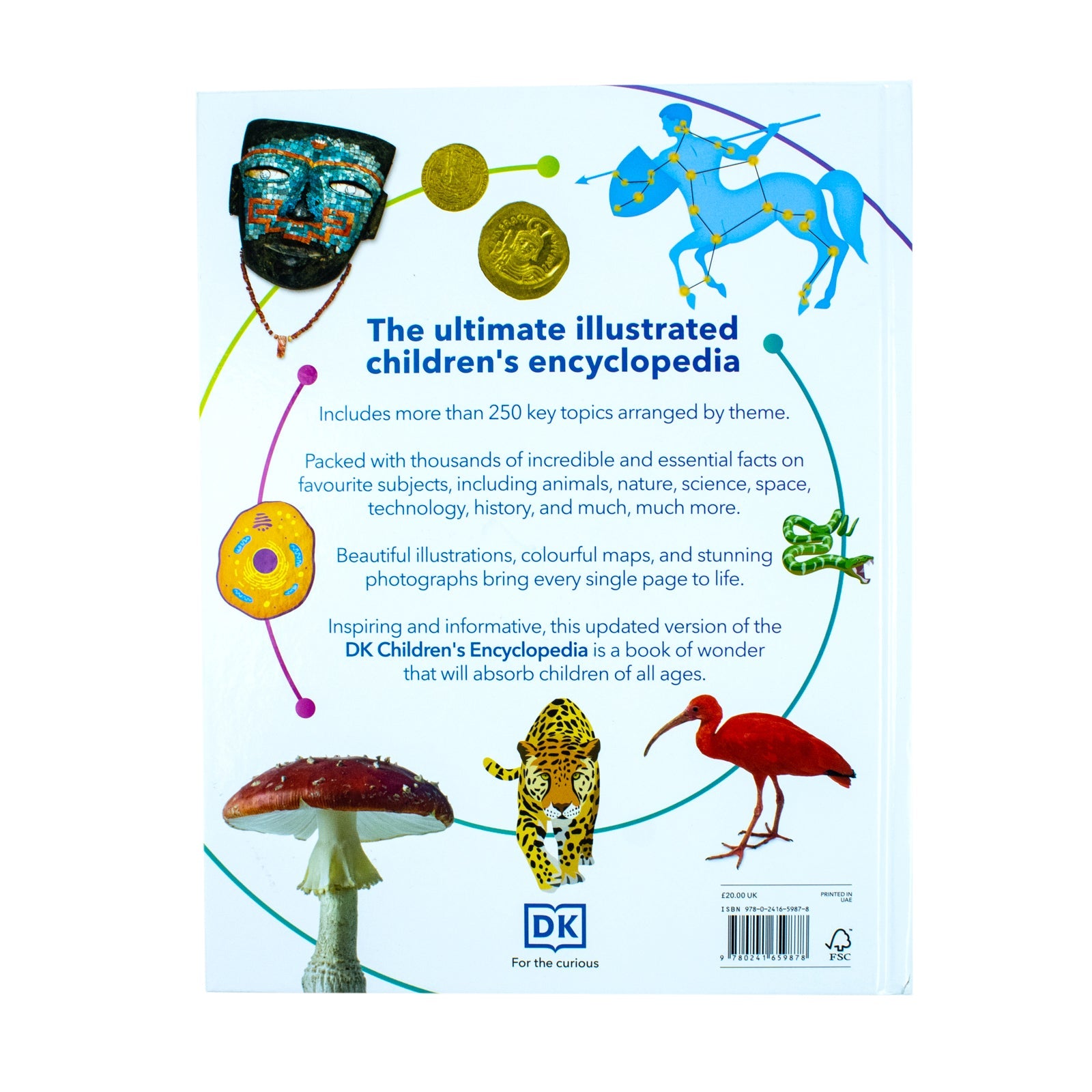 Children's Reference Book DK Children's Illustrated Encyclopedia That - product gallery image 5