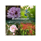 Compost & Soil with 50L, Ericaceous Acid-Loving Plants Mix Azalea - product gallery image 8