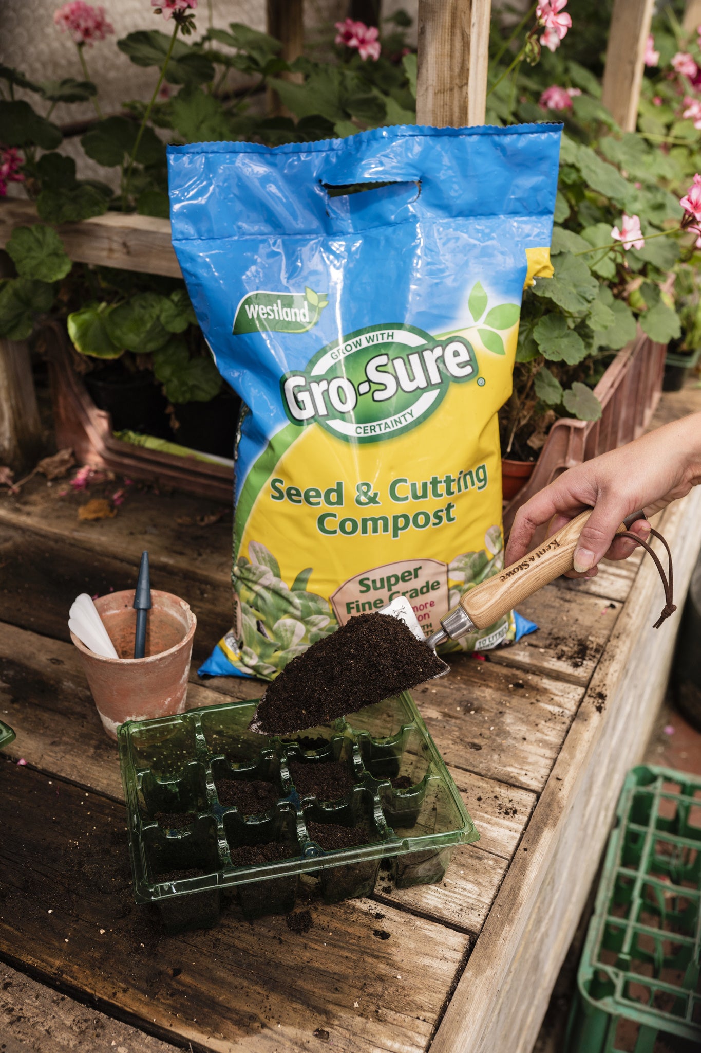 Compost with Westland Gro-Sure Seed Cutting Seaweed - product gallery image 13