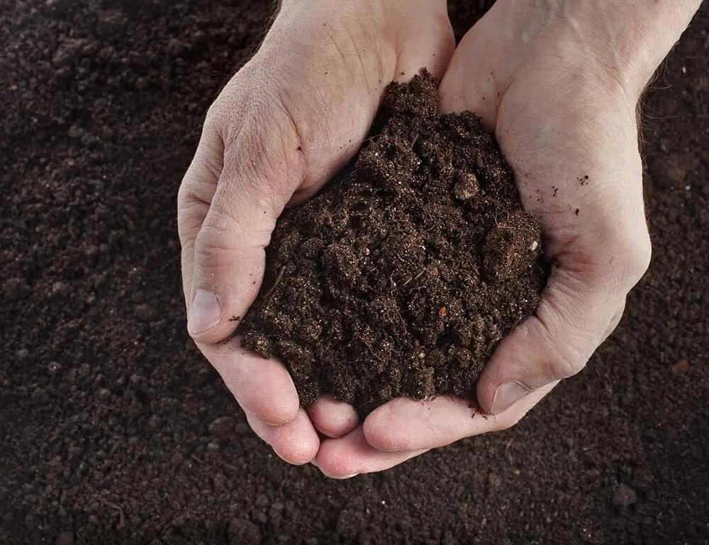 Compost with Westland Gro-Sure Seed Cutting Seaweed - product gallery image 15