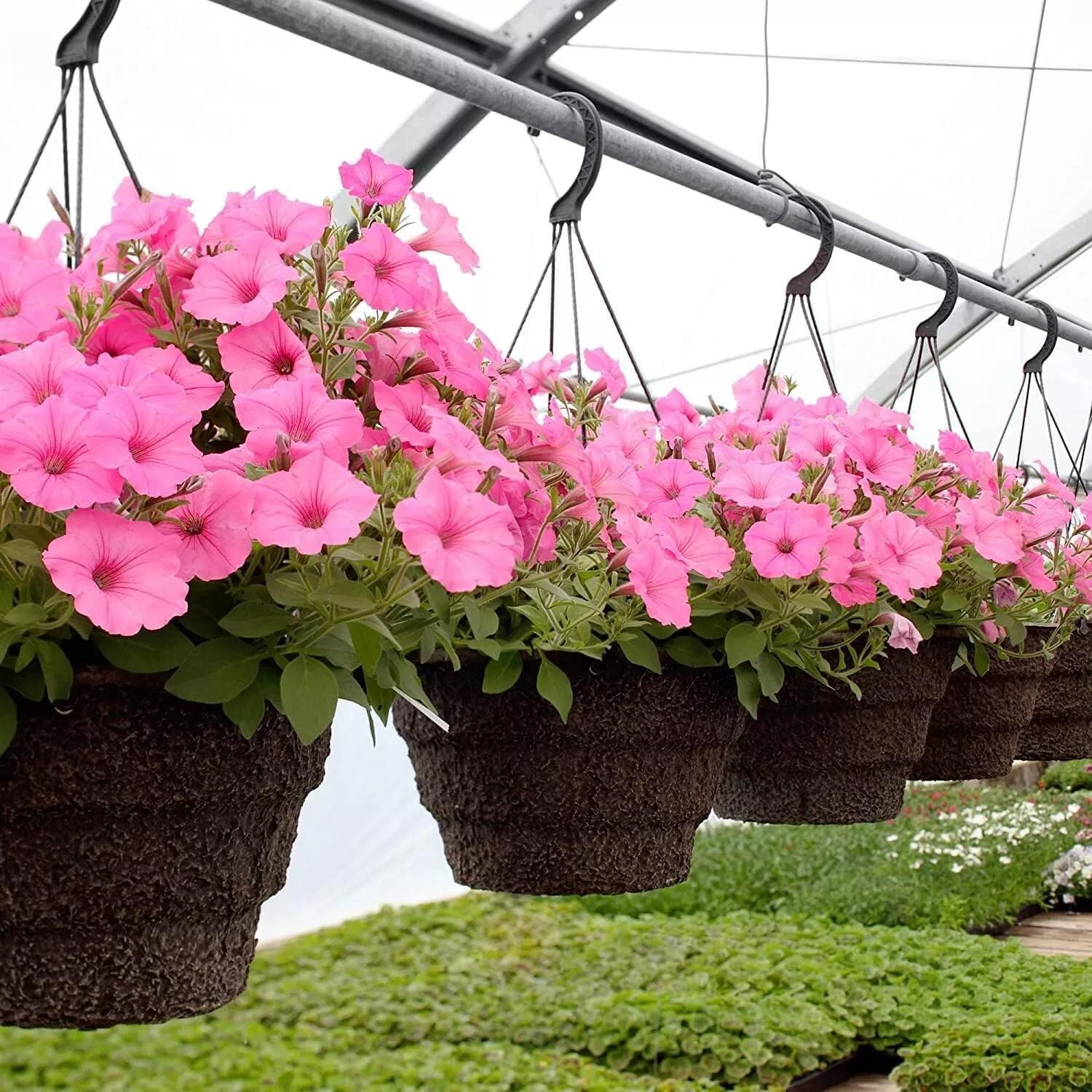 Compost with Westland Gro-Sure Seed Cutting Seaweed - product gallery image 20