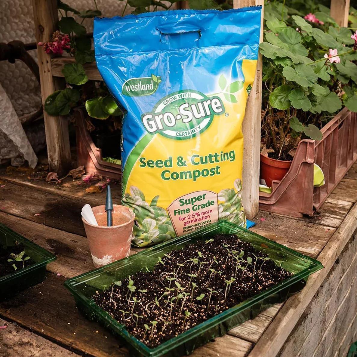 Compost with Westland Gro-Sure Seed Cutting Seaweed - product gallery image 3