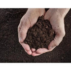 Compost with Westland Gro-Sure Seed Cutting Seaweed - product gallery image 6