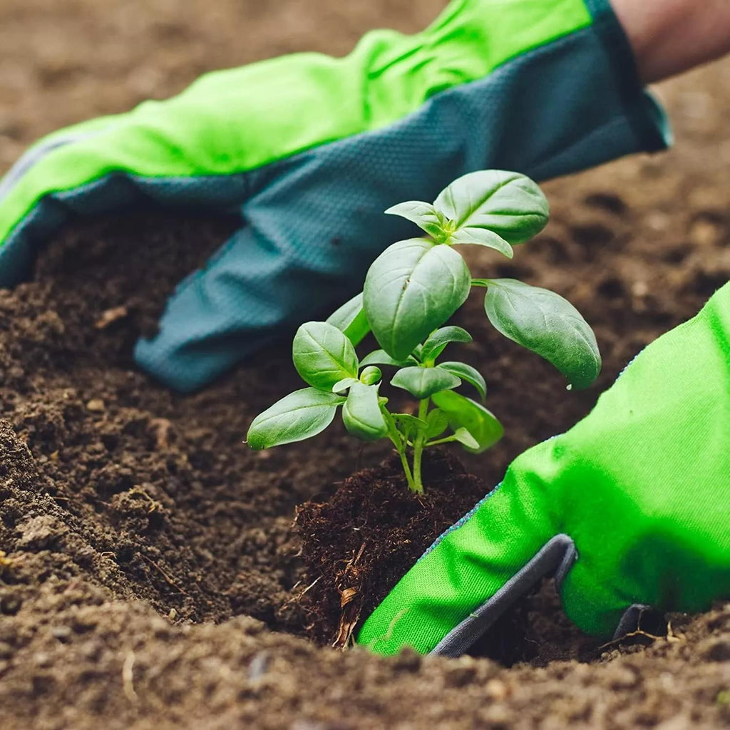 Compost with Westland Gro-Sure Seed Cutting Seaweed - product gallery image 7