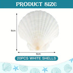 Craft Shells & Decoration with 8cm, Plastic, 20pcs - product gallery image 3
