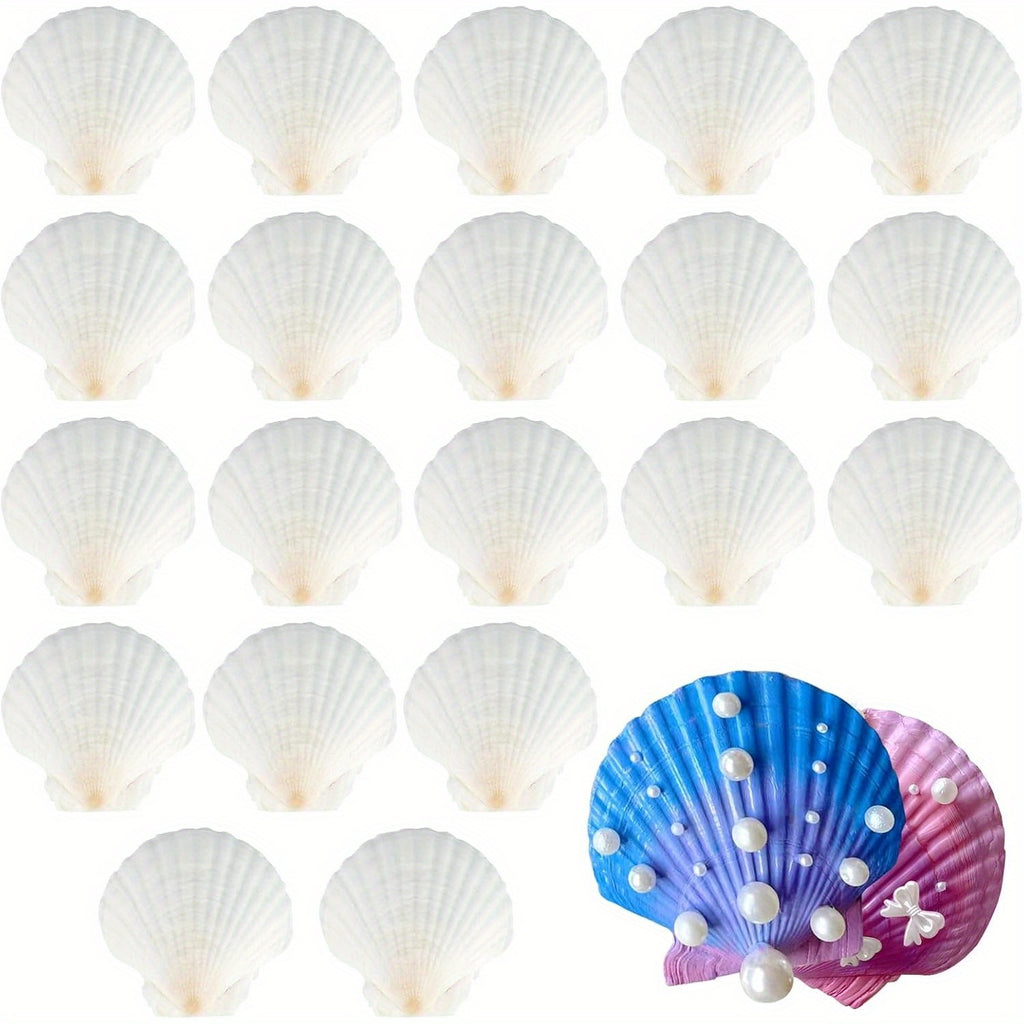 Craft Shells & Decoration with 8cm, Plastic, 20pcs - Variant1 option