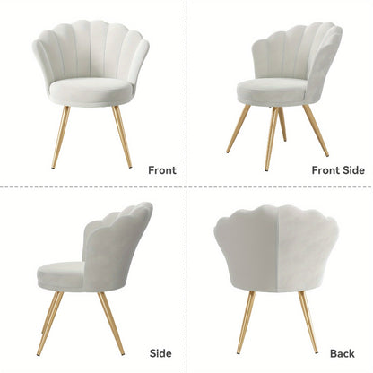 Velvet Shell Accent Chair with Gold Metal Legs – Upholstered Vanity Chair with High-Density Foam Seat for Bedroom, Living Room, Makeup Room & Office, 5 Colours