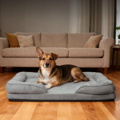 Orthopedic Dog Bed with Removable CoverFoam Pet Mattress for All-Season Comfort, Non-Slip Bottom, Fits Medium/Large/Small Dogs, Cozy Bedroom Accessory