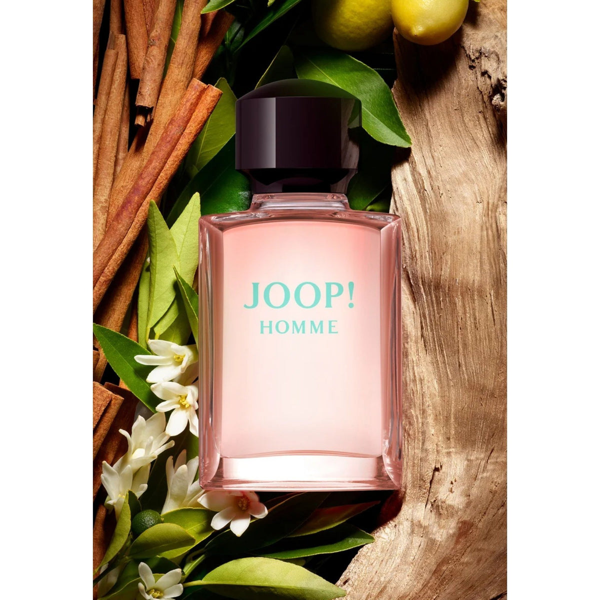 Deodorant Joop Homme Mild Natural Spray Men with 75ml - product gallery image 3