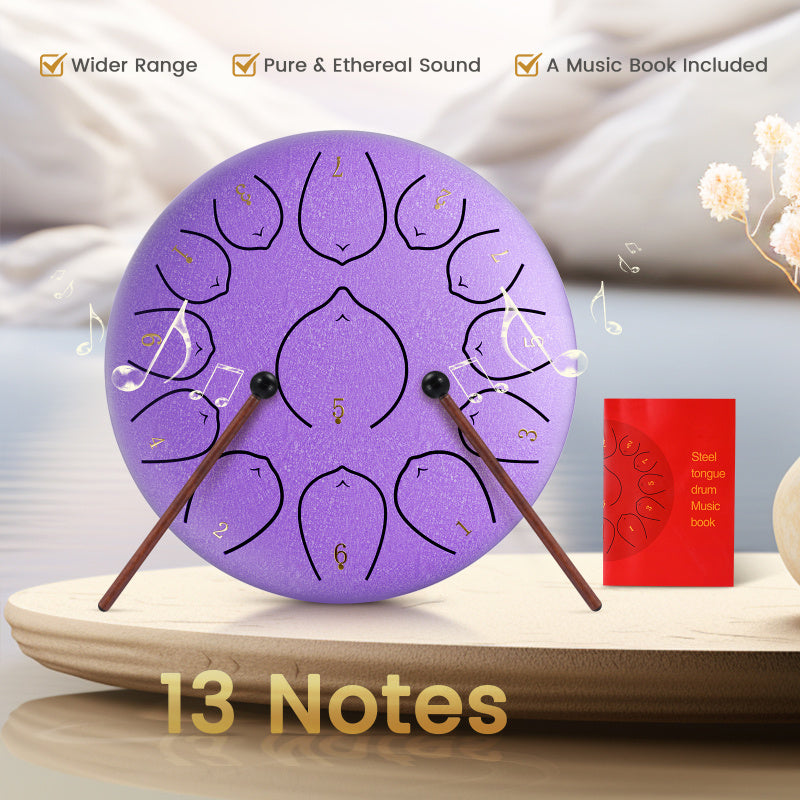 12 Inch 13 Notes Steel Tongue Drum, D Key & Rust-Proof Handpan Drum with Drum Bag and Percussion Instrument Tools