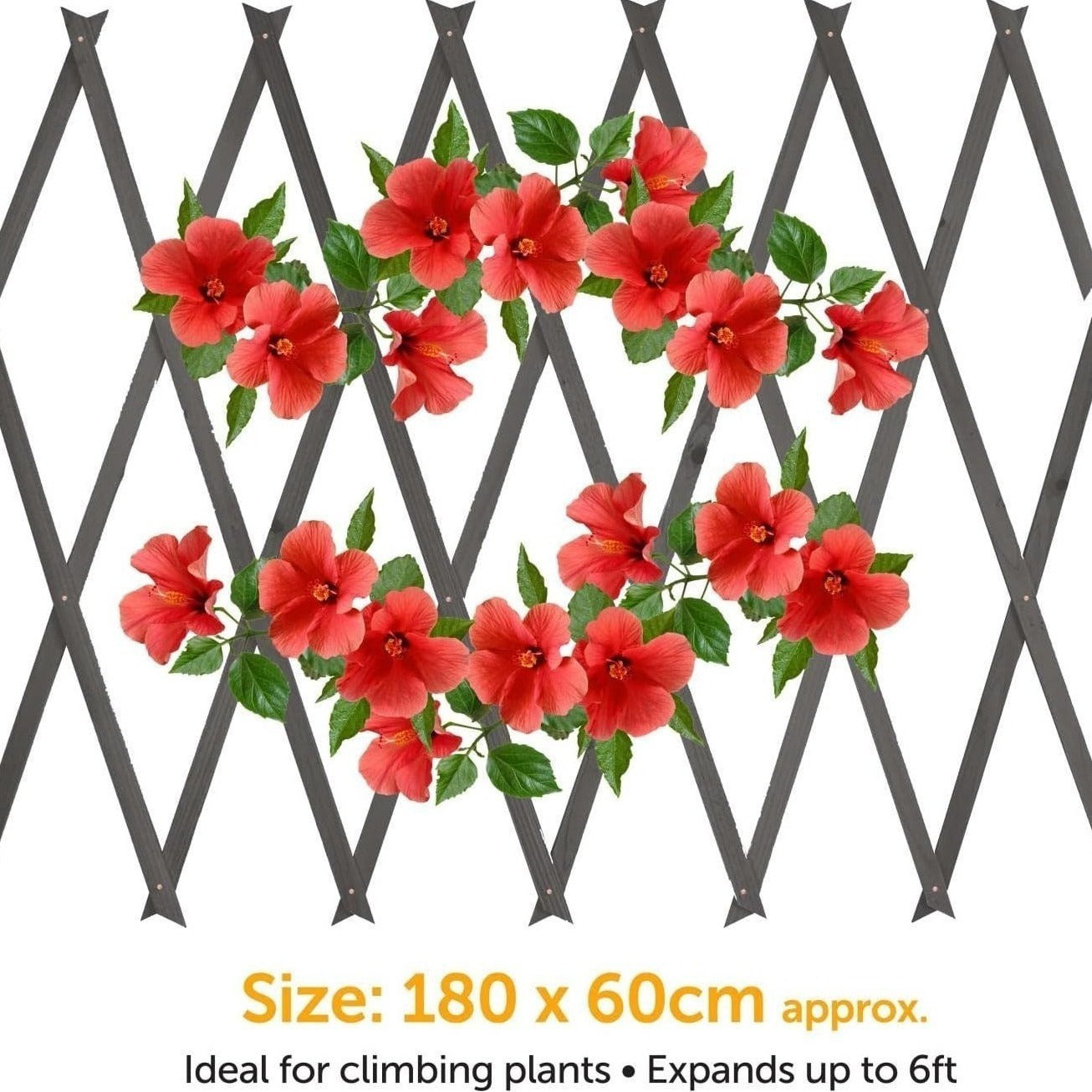3 Pack Wooden Trellis Expandable Garden Wall For Climbing Plants Support 6 x 2ft (Grey)
