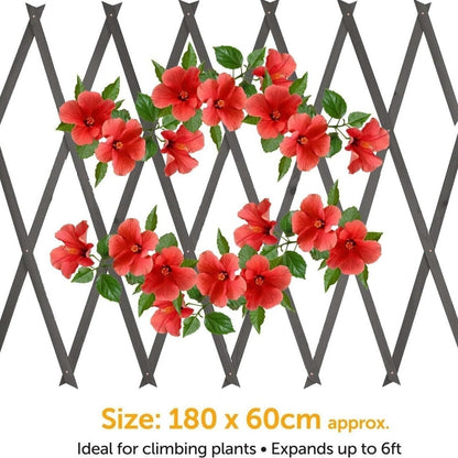 3 Pack Wooden Trellis Expandable Garden Wall For Climbing Plants Support 6 x 2ft (Grey)