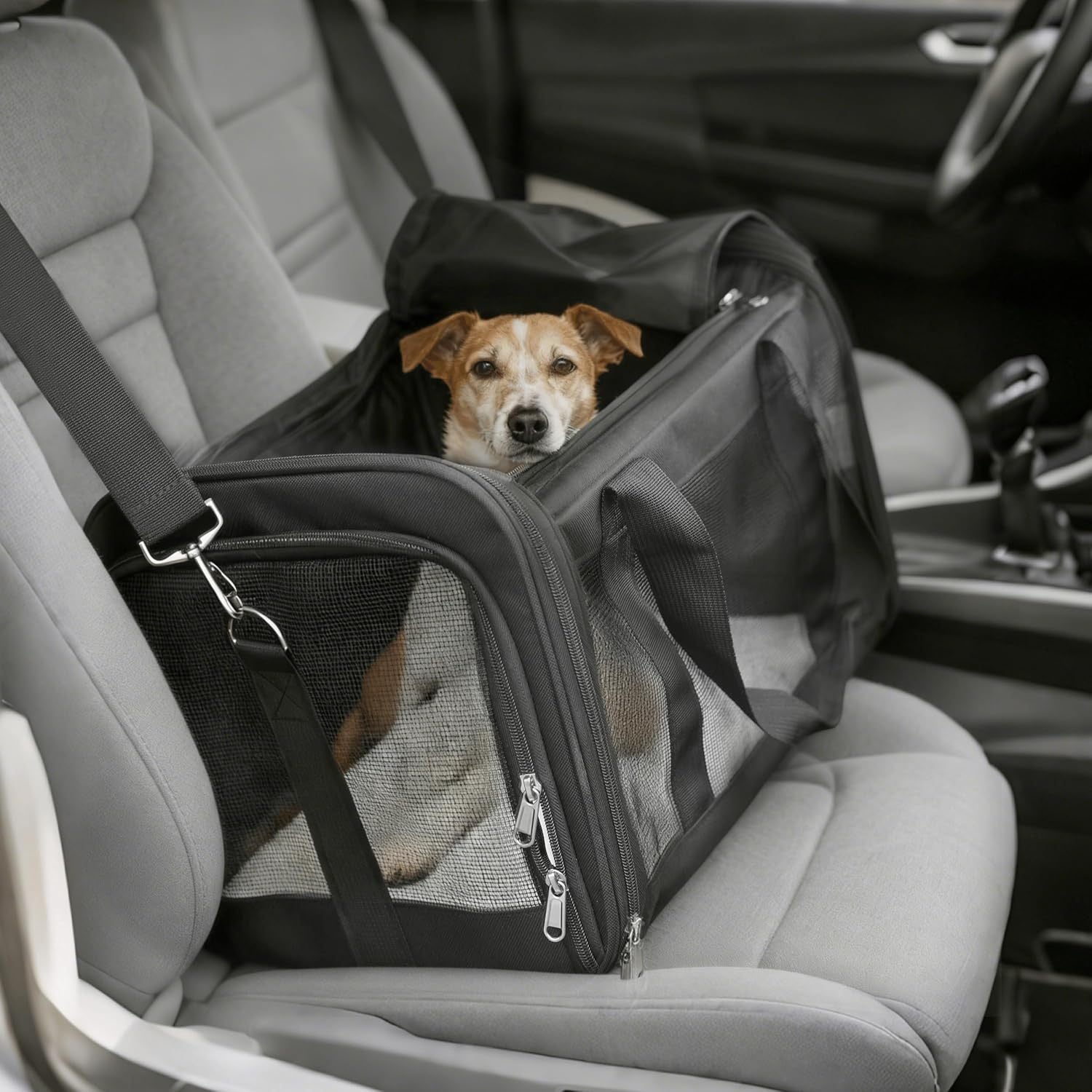 Dog Bed with Foldable, 6kg, medium, Foldable Pet Carrier Backpack 3-6kg Cats - product gallery image 2