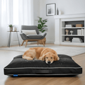 Dog Bed with Plush Mattress Removable Washable Cover