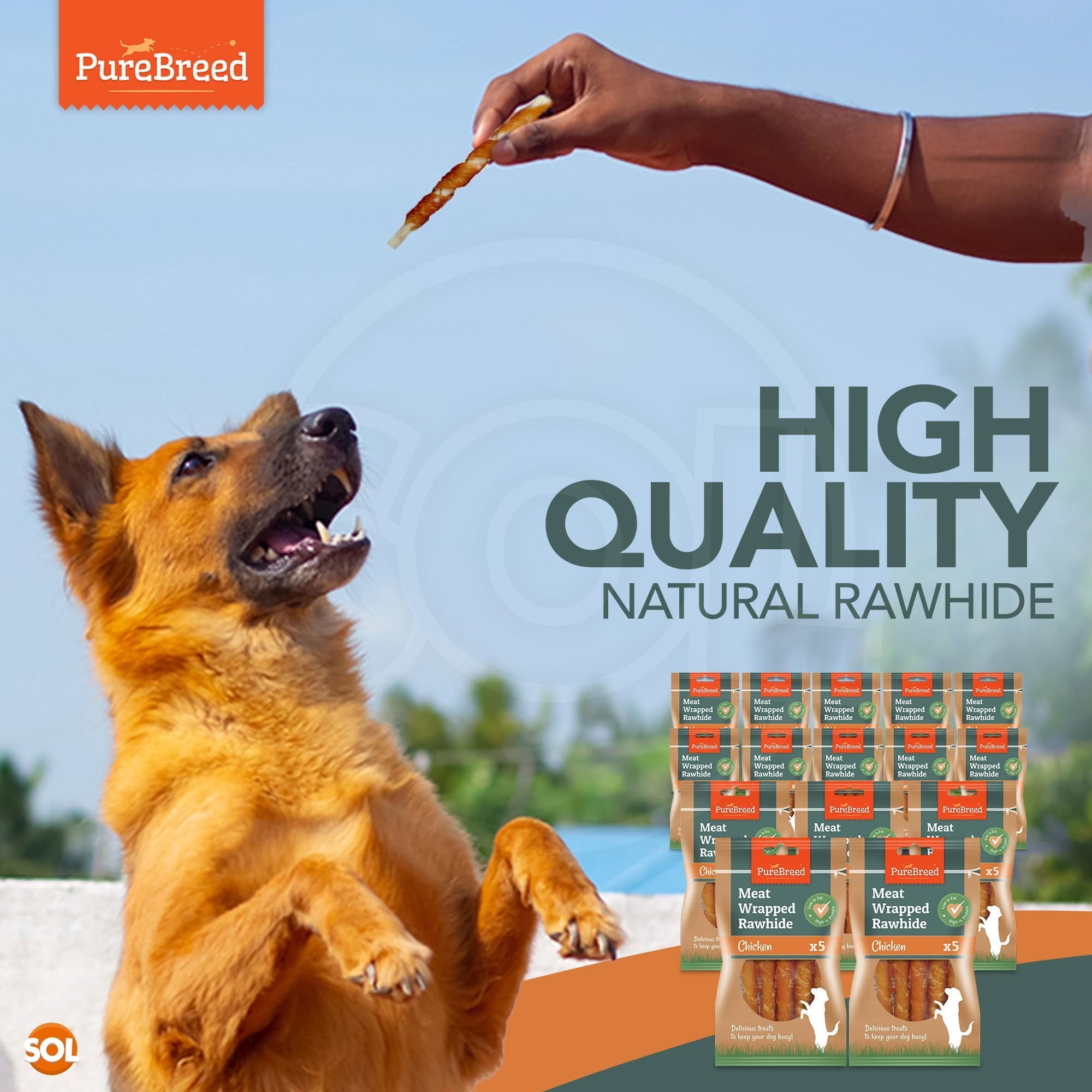 Dog Chew with 100pk, Chicken-Wrapped Rawhide Sticks - product gallery image 5