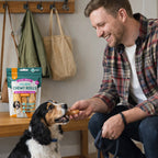 Dog Chew with 36 Pack, 36pk, Collagen Chews Rawhide Free Long Lasting - product gallery image 6