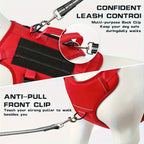 Dog Harness with No Pull Full Body Soft Padded for travel - product gallery image 9