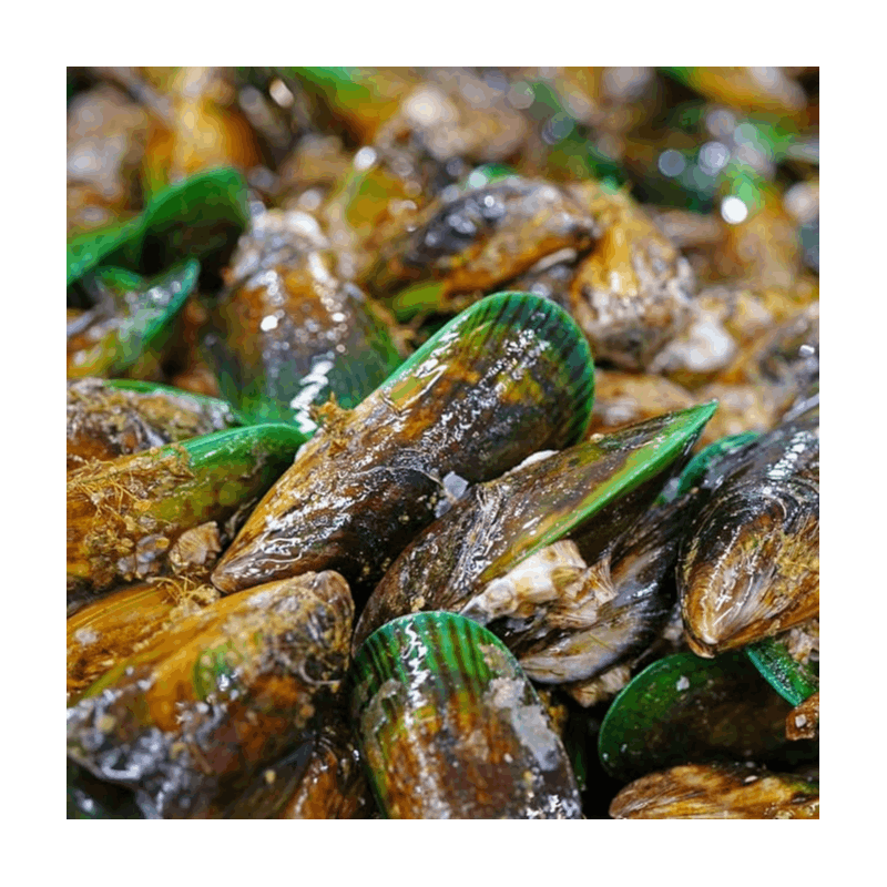 Dog Supplement with 130g, Fish, Green Lipped Mussel Powder Dogs Natural - product gallery image 2