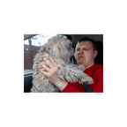 Dog Supplement with 500g, Oil, Seaweed Powder Dogs Pure Dried Ascophyllum - product gallery image 7