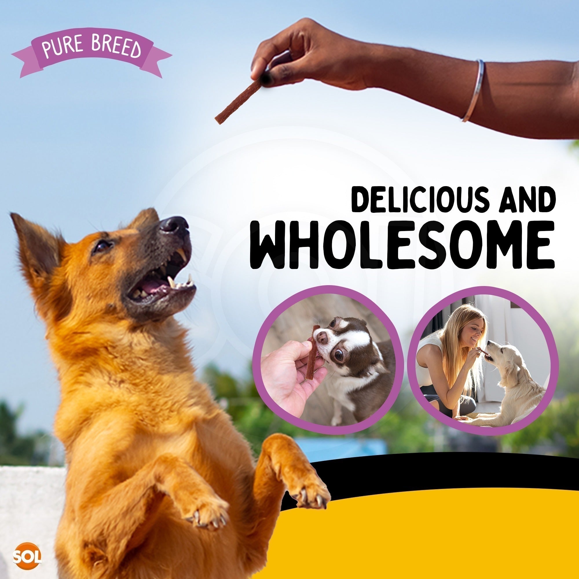 Dog Treat with 1.8kg, 150g, 12 Pack, 12pk, Chicken Treats Protein Strips 1.8kg High - product gallery image 2