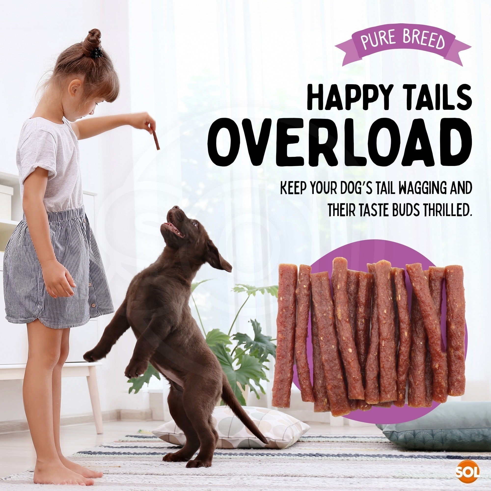 Dog Treat with 1.8kg, 150g, 12 Pack, 12pk, Chicken Treats Protein Strips 1.8kg High
