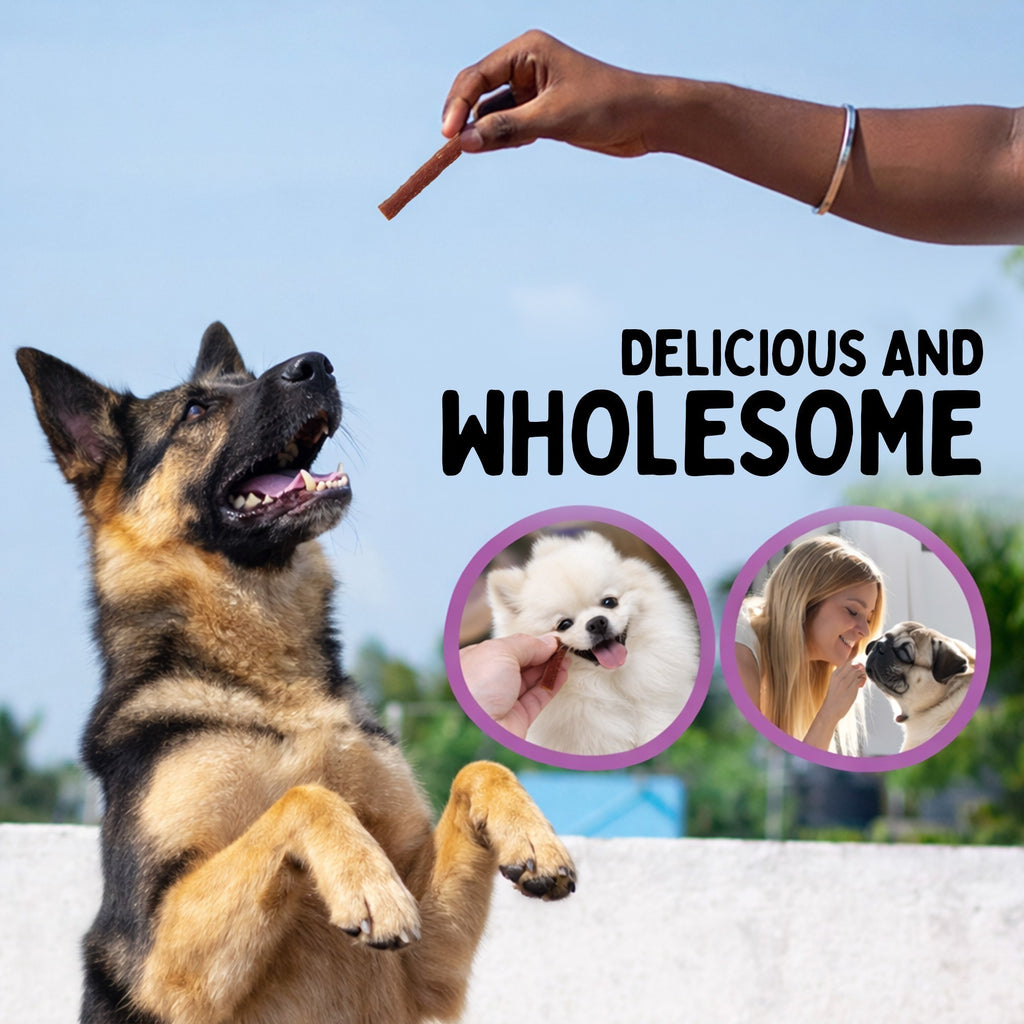 Dog Treat with 600g, Chicken Protein Strips Dogs (4x150g) High - product gallery image 5