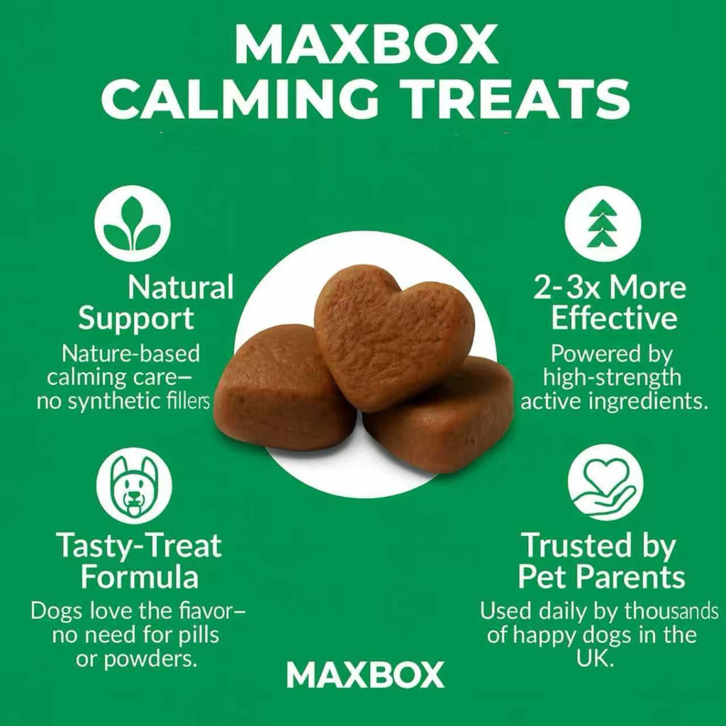 Dog Treat with calming for dog, Calming Treats Soft Chews MAXBOX Stress