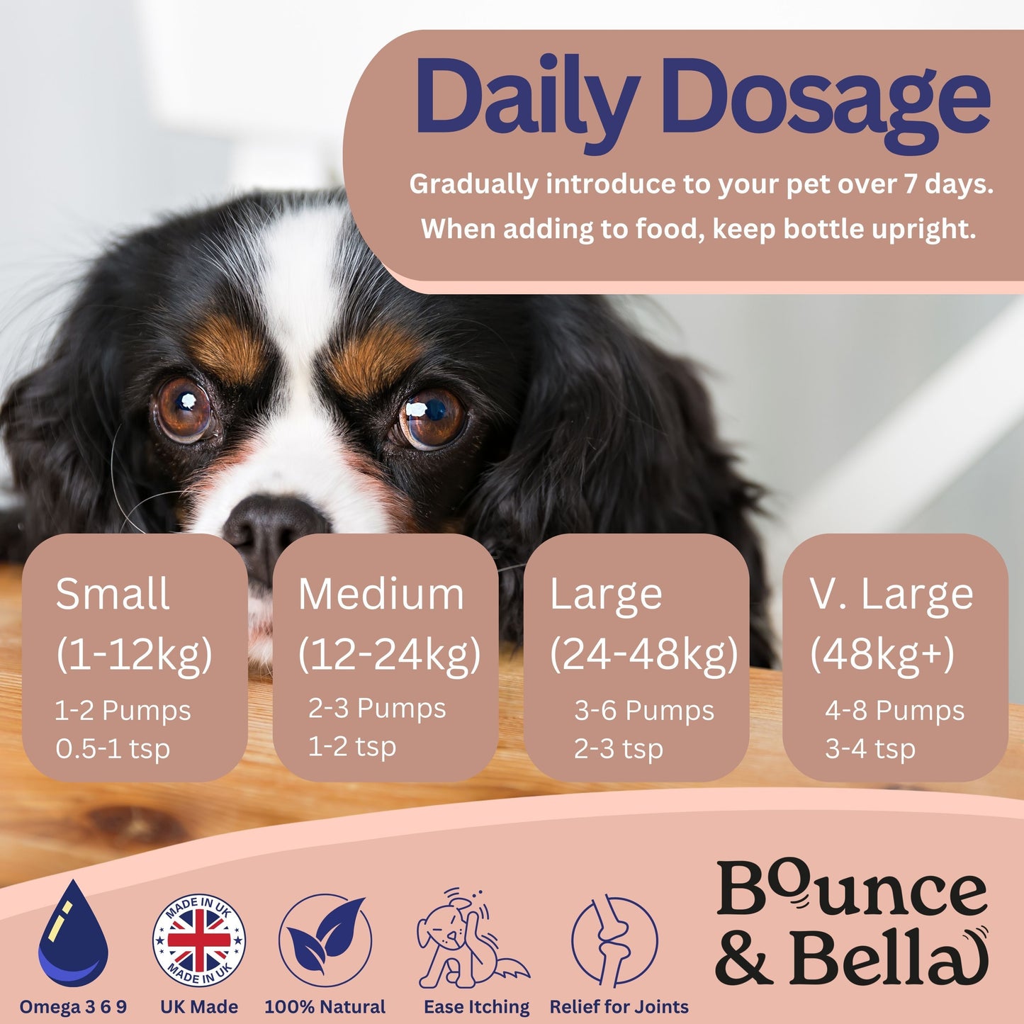 Scottish Salmon Oil for Dogs & Cats UK - Purity-Filtered Omega 3-6-9 Fish Oil Supplement, 500ml, Bounce and Bella