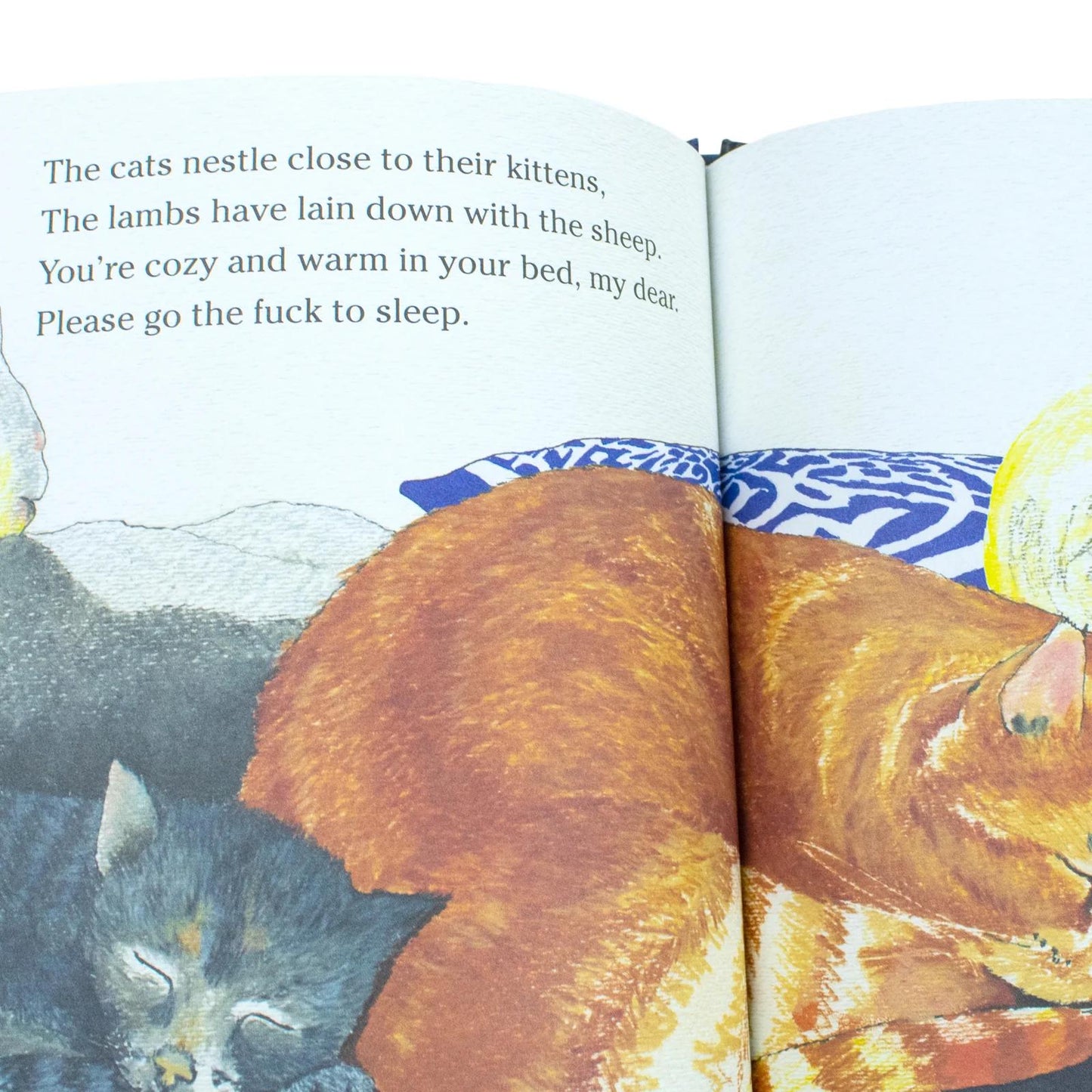 Go the F to Sleep Book | Funny Adult Humor Bedtime Parody