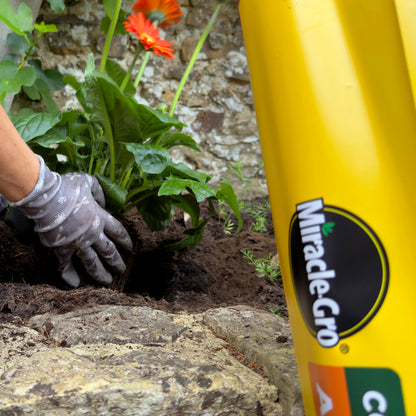 2x Miracle-Gro All Purpose Compost 40L Large Volume Multi-Use Plant Growing Medium for Flowers, Vegetables, Shrubs, Houseplants, Pots & Garden Beds
