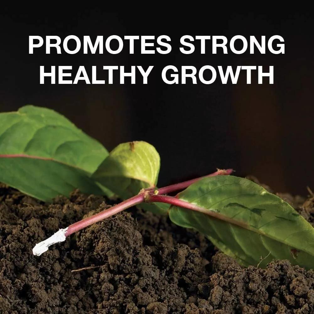 2 X Natural Rooting Powder for Plants 75G Suitable for Plant Cuttings