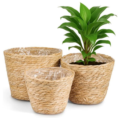 3pcs Grass Woven Flower Pots, Potted Plants, Rattan Flower Baskets, Decorations Suitable for Bedrooms, Living Rooms, Dining Tables, Green Plant Decoration Sets