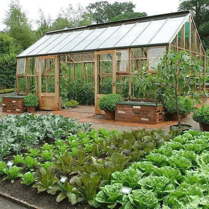 2 X Doff Liquid Seaweed Concentrate 1L For Use on Garden Plants Shrubs & Vegetables, Supports Growth, Makes Up to 300L