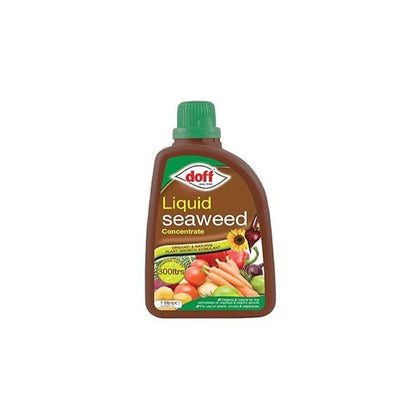 2 X Doff Liquid Seaweed Concentrate 1L For Use on Garden Plants Shrubs & Vegetables, Supports Growth, Makes Up to 300L