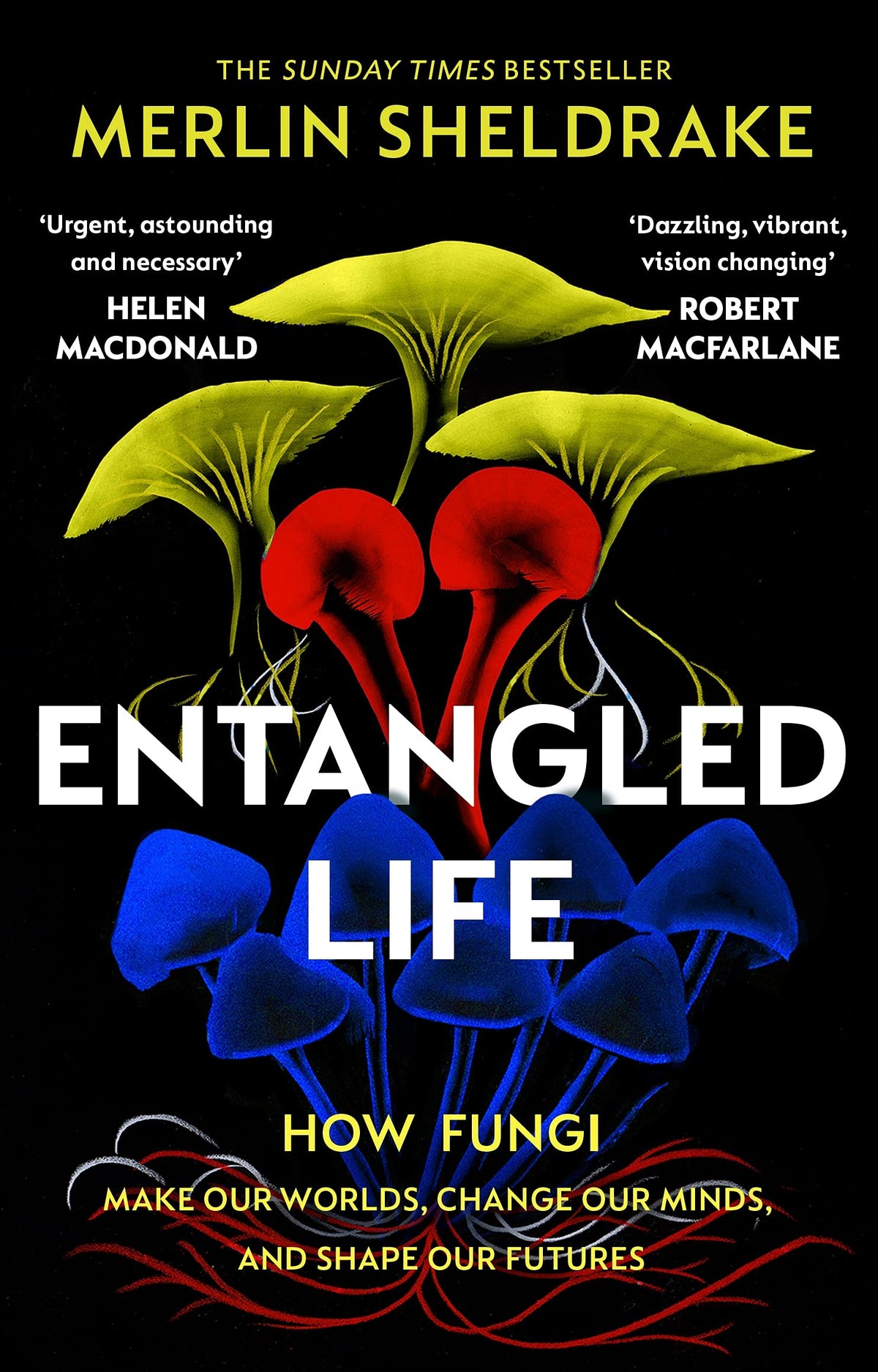 Entangled Life: How Fungi Make Our Worlds with 1 for gardens and patios - product gallery image 2
