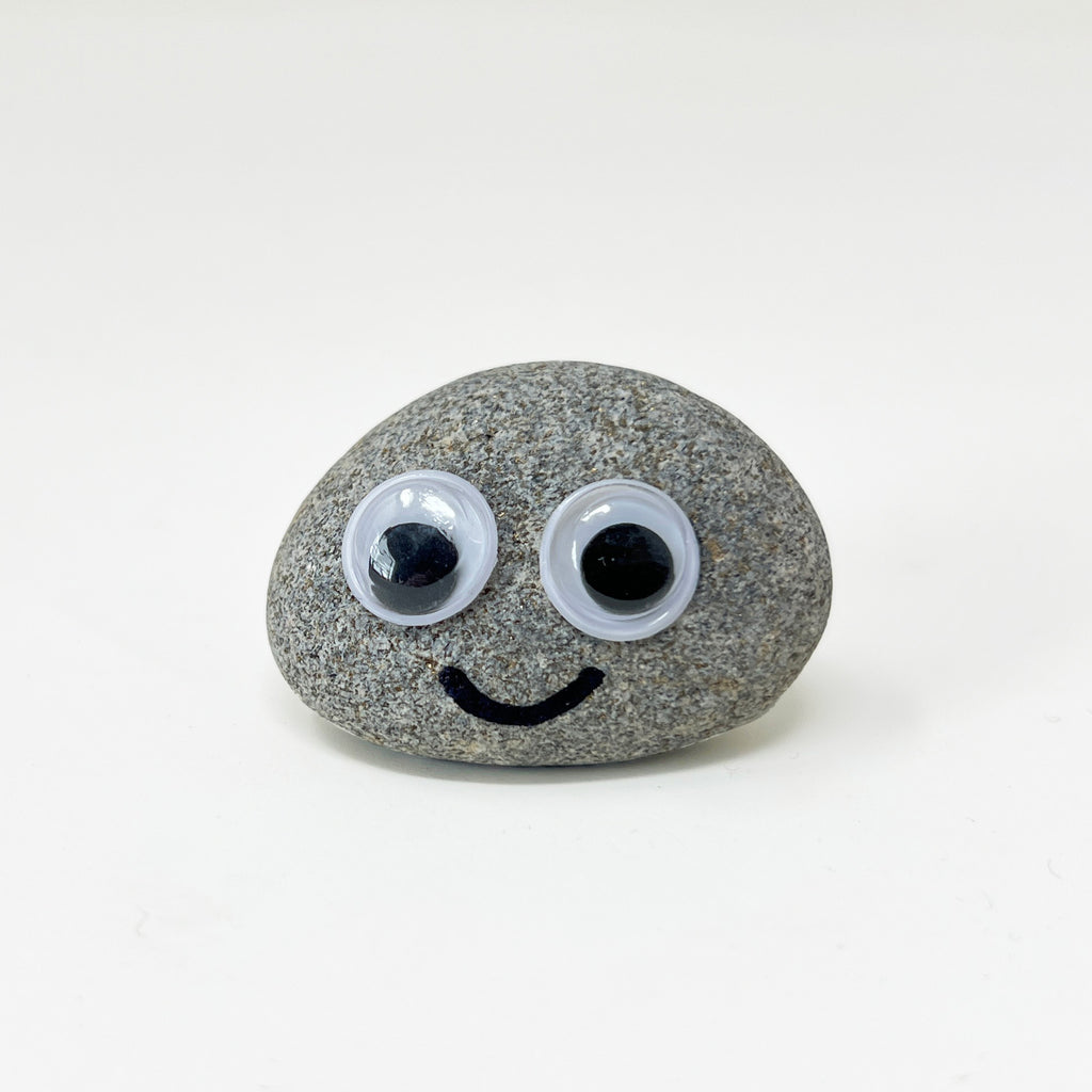 Pet Rock Novelty Funny Gift for the Person Who Has Everything – Gag Gift for Birthdays Wedding Favours Party Bags Secret Santa