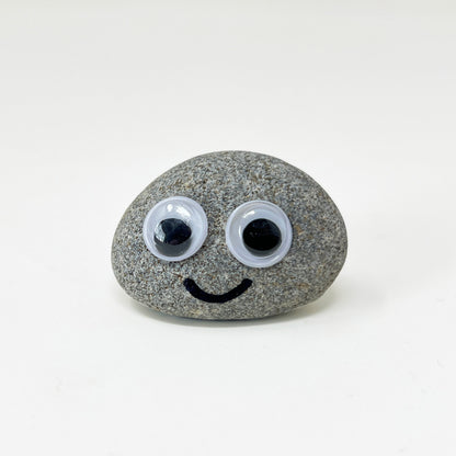 Pet Rock - Novelty Gift Idea - Ideal For Birthday Presents, Wedding Favours, Party Bags etc