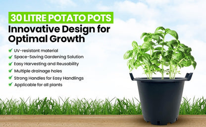3 x Heavy Duty 30L Plant Pots Potato Containers Buckets (Pack of 3) Plastic Large Outdoor Planter With Handles Vegetables & Trees
